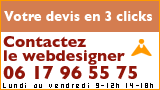 Contact webdesigner promotion design de charte graphique web