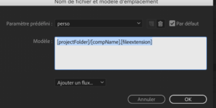 Paramètre rendu aftereffects video répertoire