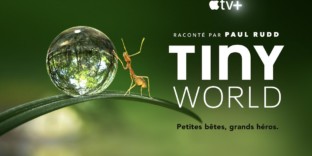 Documentaires animaliers appletv TINYWORLD