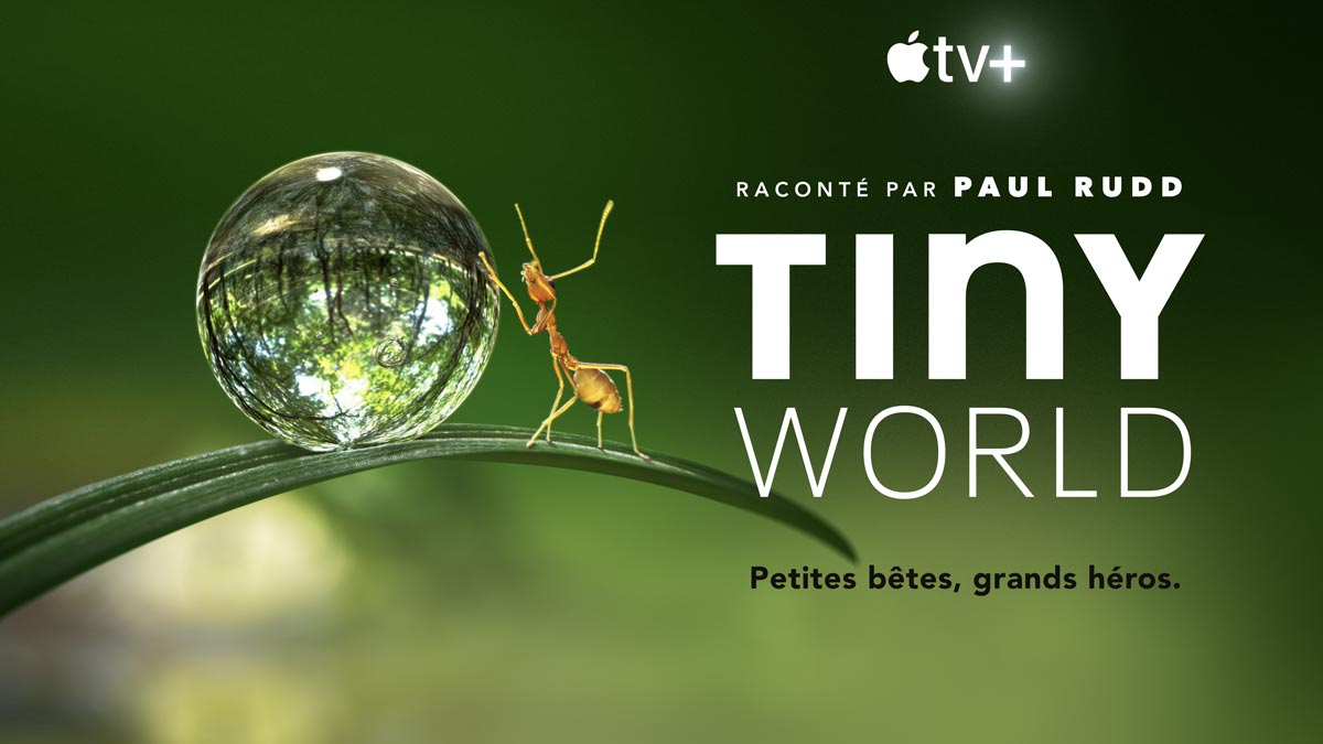 Documentaires animaliers appletv TINYWORLD