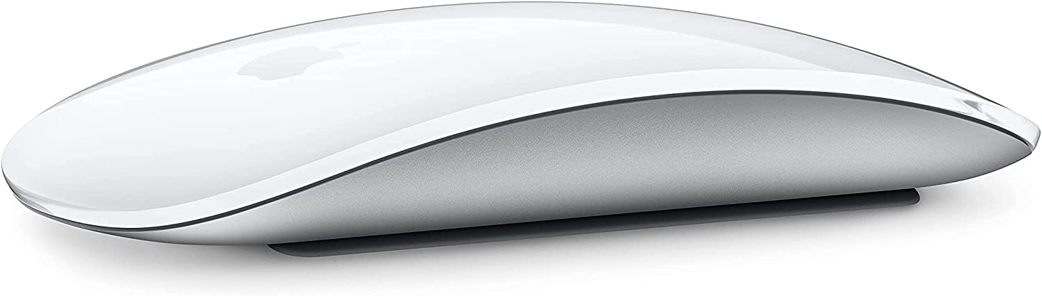 Souris APPLE magicmouse